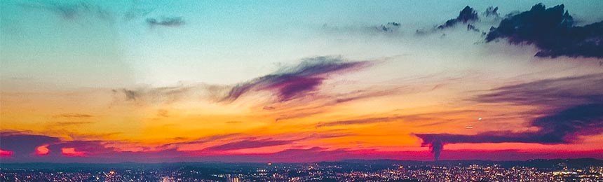 琼中茶虫网_琼中品茶